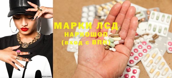 прущие грибы Алзамай