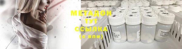 прущие грибы Алзамай