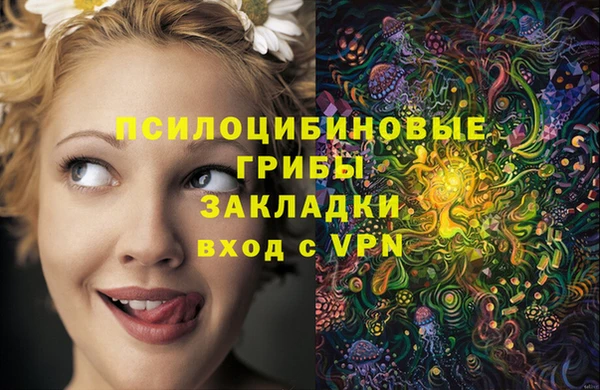 прущие грибы Алзамай