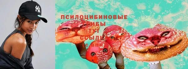 прущие грибы Алзамай
