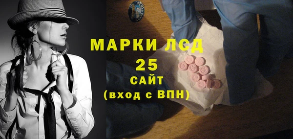 прущие грибы Алзамай