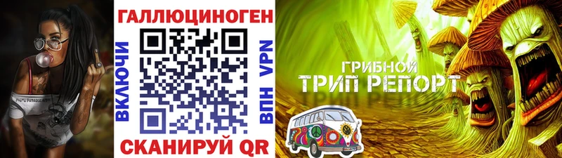 blacksprut маркетплейс  Хвалынск  Галлюциногенные грибы ЛСД 